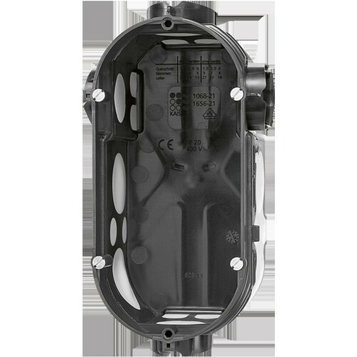 Jung UP-Dose 2-fach ch 1656-21