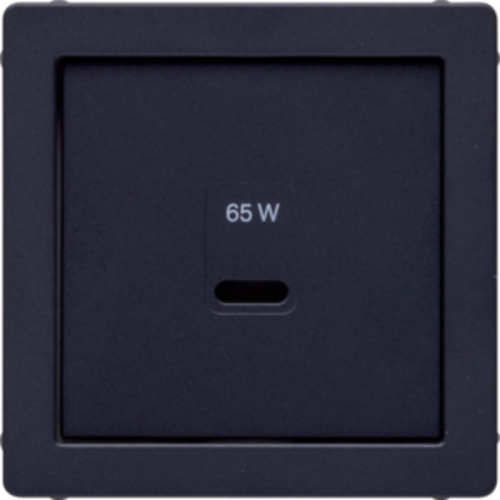 Berker Zentralplatte USB Q.x, anthrazit m 48606086