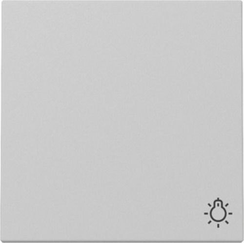 Gira Wippe Symb. Licht Grau m 3285015