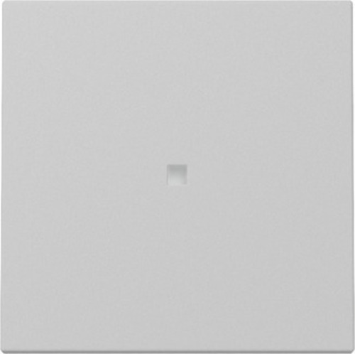 Gira Wippe Kontrollf. Grau m 3290015