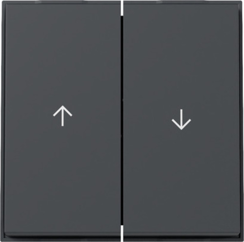 Gira Wippe 2-fach Pfeil (WG UP) Anthrazit 329467