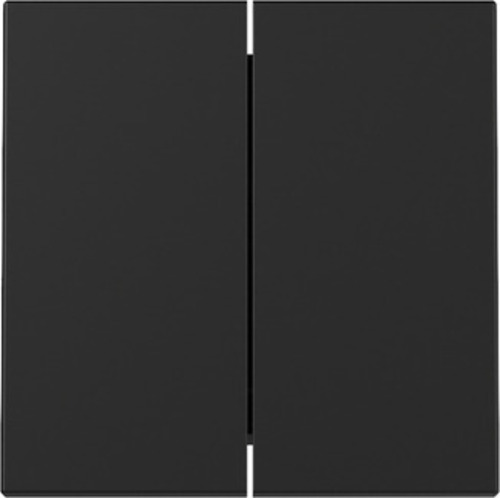 Gira Wippe 2-fach Schwarz m 3295005