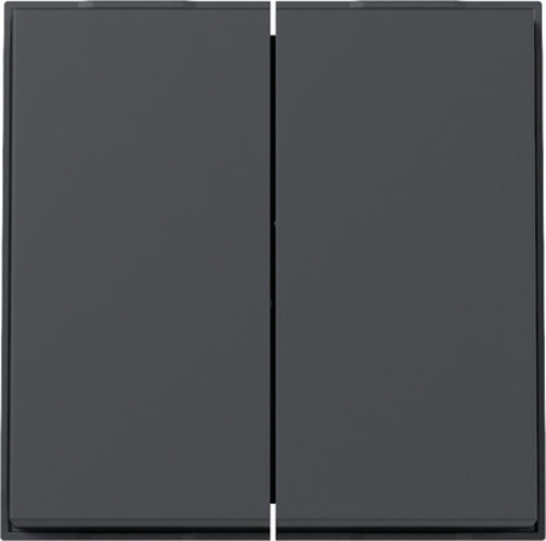 Gira Wippe 2-fach (WG UP) Anthrazit 329567 Gira Wippe 2-fach (WG UP) Anthrazit 329567