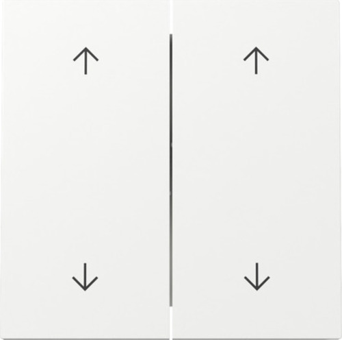 Gira Wippe 2-fach Pfeile Schalter Reinweiß 329770