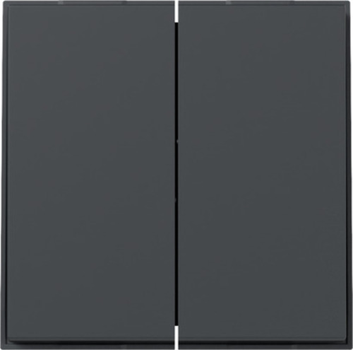 Gira Wippe 2-fach gerade Anthrazit 349567