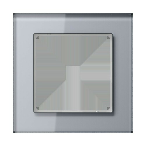 Jung Glasrahmen 1-fach ch kristallgrau AC 581 GL KG