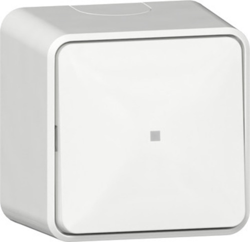 Gira Wipptaster Wechsler Kontrollf. + Montpl. 315613 Gira Wipptaster Wechsler Kontrollf. + Montpl. 315613