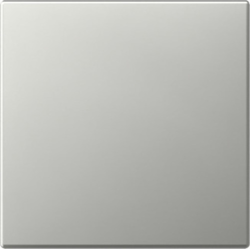 Gira Wippe gerade Edelstahl 3496600 Gira Wippe gerade Edelstahl 3496600