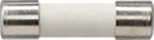 Gira Sicherung T 6,3 H 250 V 049841