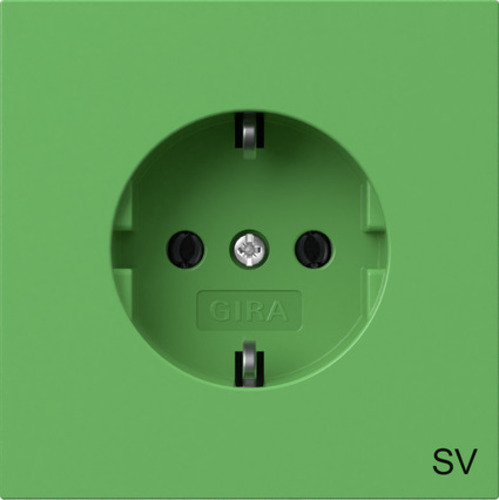 Gira SCHUKO-Steckdose gn 4188707