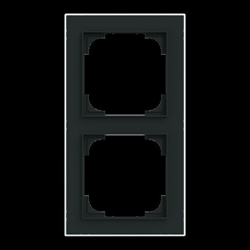 Busch-Jaeger Rahmen 2-fach mit Dekorring 1722-456M