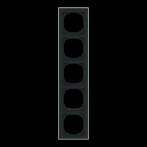 Busch-Jaeger Rahmen 5-fach mit Dekorring 1725-456M