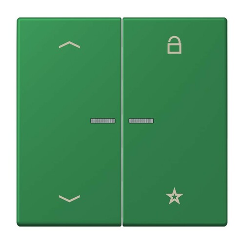 Jung eNet Taster Universal 1-fach FM LC 1701 P 219 Jung eNet Taster Universal 1-fach FM LC 1701 P 219
