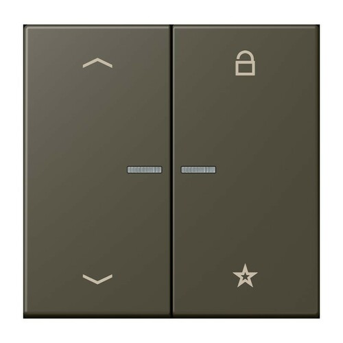 Jung eNet Taster Universal 1-fach FM LC 1701 P 241 Jung eNet Taster Universal 1-fach FM LC 1701 P 241