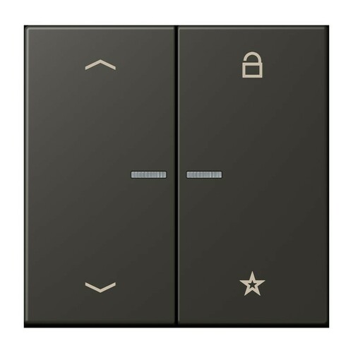Jung eNet Taster Universal 1-fach FM LC 1701 P 259 Jung eNet Taster Universal 1-fach FM LC 1701 P 259