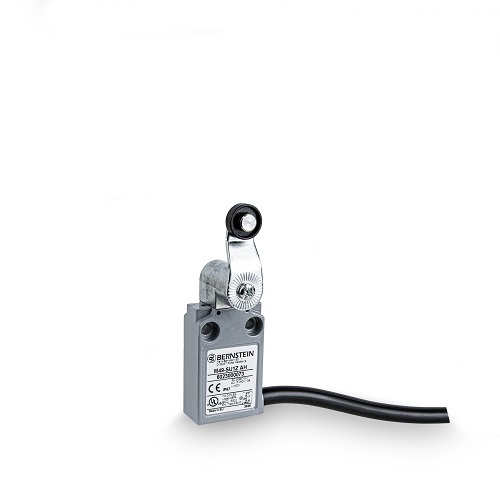 Bernstein Positionsschalter Metall M49-E2 AH Bernstein Positionsschalter Metall M49-E2 AH