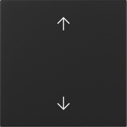 Gira Wippe Pfeile Schwarz m 3616005