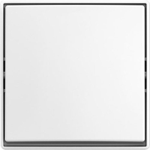 Busch-Jaeger Wippschalter AP 2601/6 J-524