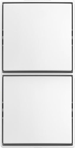 Busch-Jaeger Kombi Schalter/Schalter AP 2601/6/2601/6 APJ524 Busch-Jaeger Kombi Schalter/Schalter AP 2601/6/2601/6 APJ524