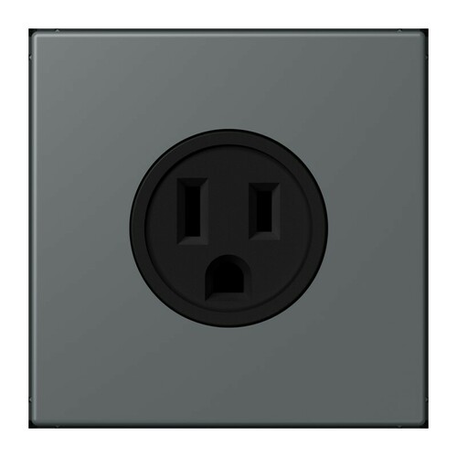 Jung Steckd NEMA15 A125 V LS 32010 LC 521-15 202 Jung Steckd NEMA15 A125 V LS 32010 LC 521-15 202