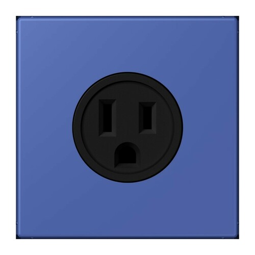 Jung Steckd NEMA15 A125 V LS 32020 LC 521-15 206 Jung Steckd NEMA15 A125 V LS 32020 LC 521-15 206