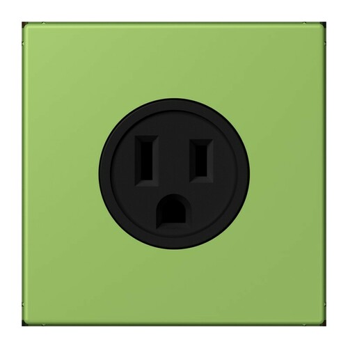 Jung Steckd NEMA15 A125 V LS 32051 LC 521-15 220 Jung Steckd NEMA15 A125 V LS 32051 LC 521-15 220