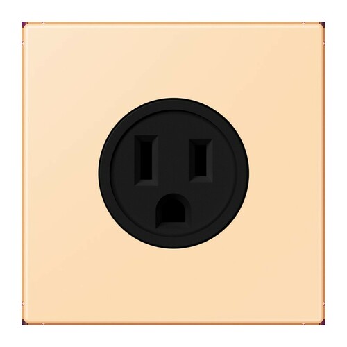 Jung Steckd NEMA15 A125 V LS 32060 LC 521-15 223 Jung Steckd NEMA15 A125 V LS 32060 LC 521-15 223