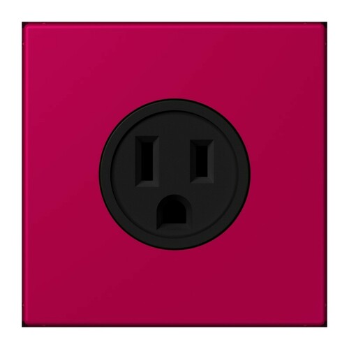 Jung Steckd NEMA15 A125 V LS 32101 LC 521-15 230 Jung Steckd NEMA15 A125 V LS 32101 LC 521-15 230