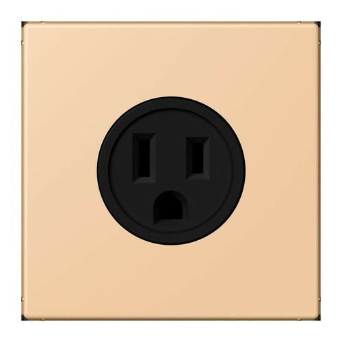 Jung Steckd NEMA15 A125 V LS 32122 LC 521-15 237 Jung Steckd NEMA15 A125 V LS 32122 LC 521-15 237