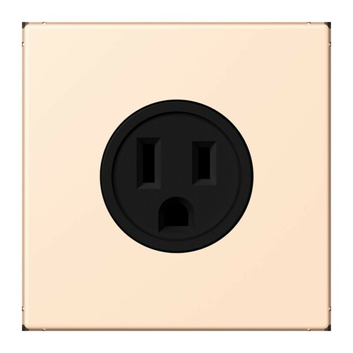 Jung Steckd NEMA15 A125 V LS 32123 LC 521-15 238 Jung Steckd NEMA15 A125 V LS 32123 LC 521-15 238