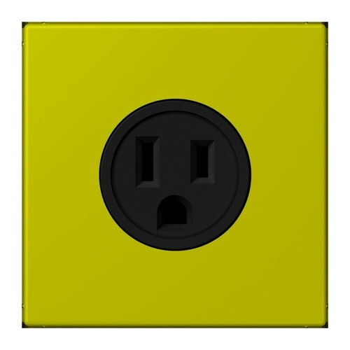 Jung Steckd NEMA15 A125 V LS 4320F LC 521-15 249 Jung Steckd NEMA15 A125 V LS 4320F LC 521-15 249