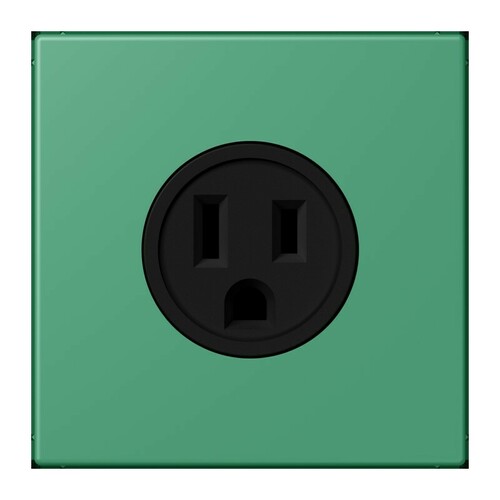 Jung Steckd NEMA15 A125 V LS 4320G LC 521-15 250 Jung Steckd NEMA15 A125 V LS 4320G LC 521-15 250