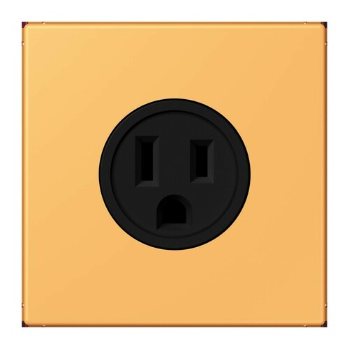 Jung Steckd NEMA15 A125 V LS 4320L LC 521-15 254 Jung Steckd NEMA15 A125 V LS 4320L LC 521-15 254