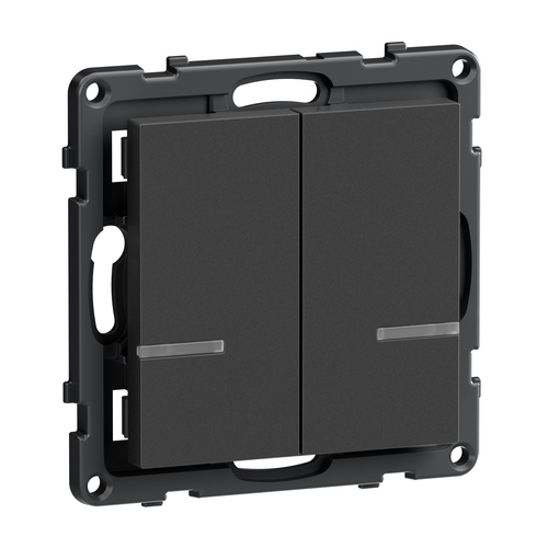 Legrand Wandsender 2-Fach Anthrazit Legrand 765934