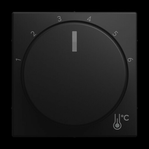 Busch-Jaeger Zentralscheibe mit Aufdruck Sk 1794 R-915
