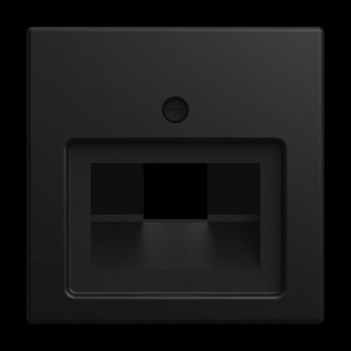 Busch-Jaeger Zentralscheibe 1803-915