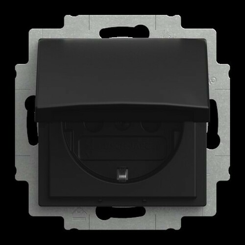 Busch-Jaeger Steckdosen-Einsatz 20 EUKB-915