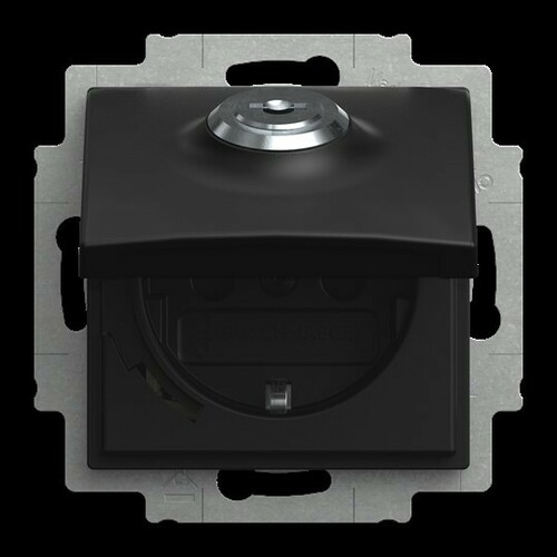 Busch-Jaeger Steckdosen-Einsatz 20 EUKBSL-915