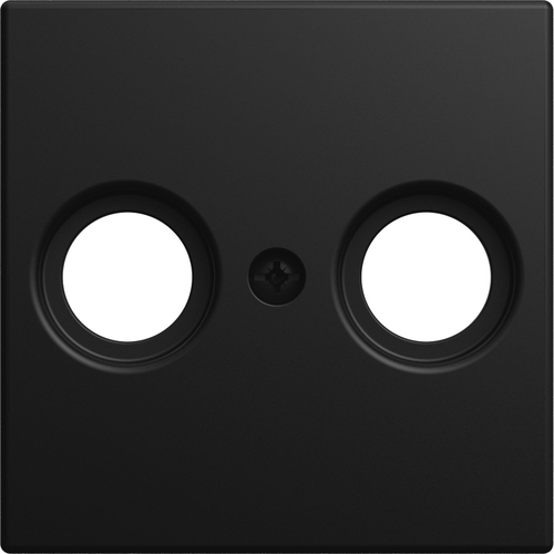 Busch-Jaeger Zentralscheibe 2531-915