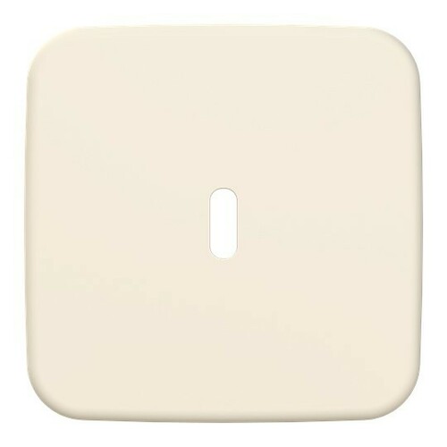 Busch-Jaeger Zentralscheibe USB-C-Power 6479-212 Busch-Jaeger Zentralscheibe USB-C-Power 6479-212