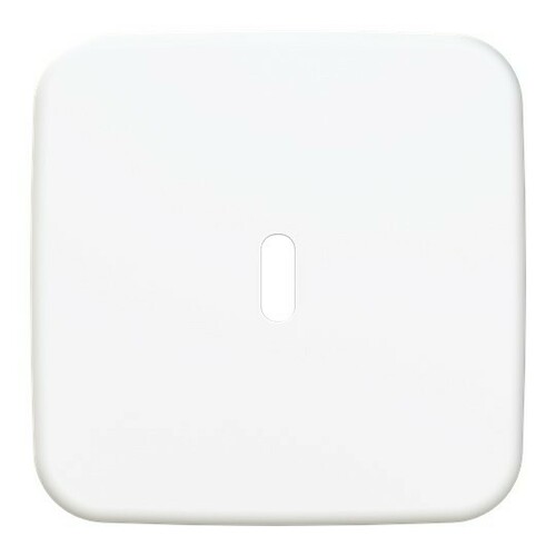 Busch-Jaeger Zentralscheibe USB-C-Power 6479-214 Busch-Jaeger Zentralscheibe USB-C-Power 6479-214