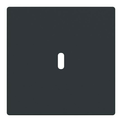 Busch-Jaeger Zentralscheibe USB-C-Power 6479-81 Busch-Jaeger Zentralscheibe USB-C-Power 6479-81