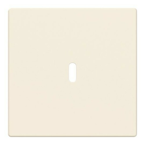 Busch-Jaeger Zentralscheibe USB-C-Power 6479-82 Busch-Jaeger Zentralscheibe USB-C-Power 6479-82