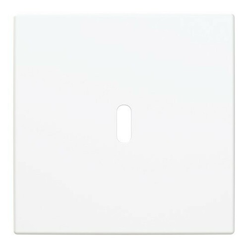 Busch-Jaeger Zentralscheibe Busch-balance SI 6479-914 Busch-Jaeger Zentralscheibe Busch-balance SI 6479-914