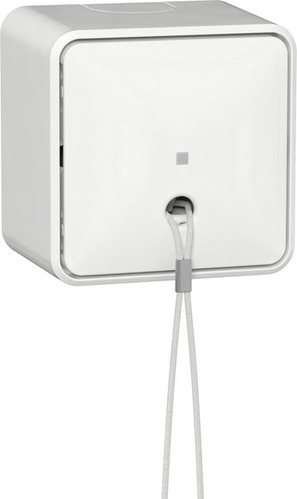 Gira Zugschalter AusWe + Montagepl. AP 314613