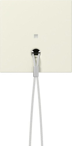 Gira Abd. Kontrollf. Zugschalter System 363801