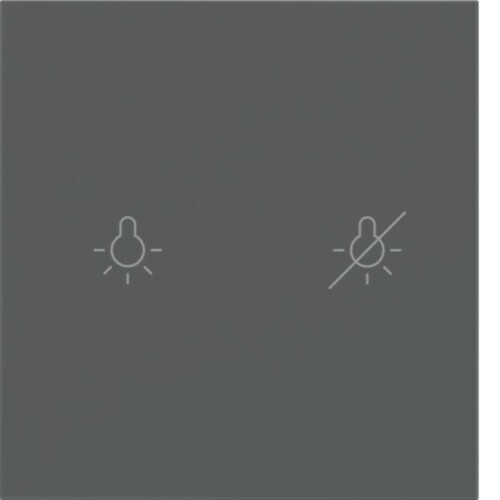 Berker Tasten für Tastsensormodul 1-fach ch, S.x/B.x, anthrazit 81181186 Berker Tasten für Tastsensormodul 1-fach ch, S.x/B.x, anthrazit 81181186