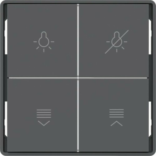 Berker Tasten für Tastsensormodul 4-fach ch, Q.x, anthrazi 81182126 Berker Tasten für Tastsensormodul 4-fach ch, Q.x, anthrazi 81182126