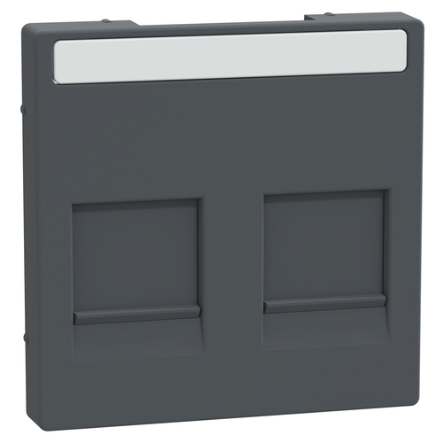 Merten Zentralplatte Modular Jack 2-fach ch MEG4564-0403 Merten Zentralplatte Modular Jack 2-fach ch MEG4564-0403