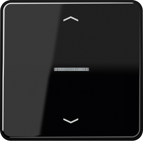 Jung Abdeckung Jal-Manag. schwarz m. Funkempfänger FM CD 5232 SW Jung Abdeckung Jal-Manag. schwarz m. Funkempfänger FM CD 5232 SW